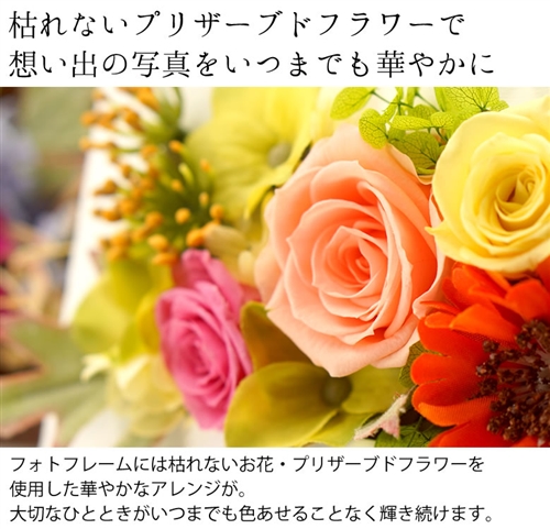 �h�V�̓��̃v���[���g�i�ʐ^���āj