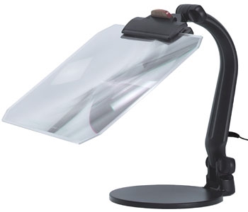 �h�V�̓��̃v���[���g�i�Ǐ��p���[�y�ҁj