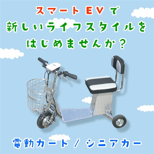 �h�V�̓��̃v���[���g�i�d���J�[�g�ҁj