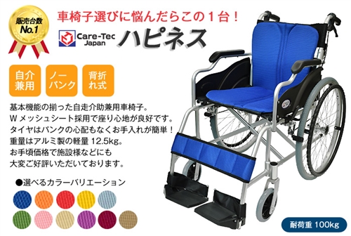 �h�V�̓��̃v���[���g�i�Ԉ֎q�ҁj