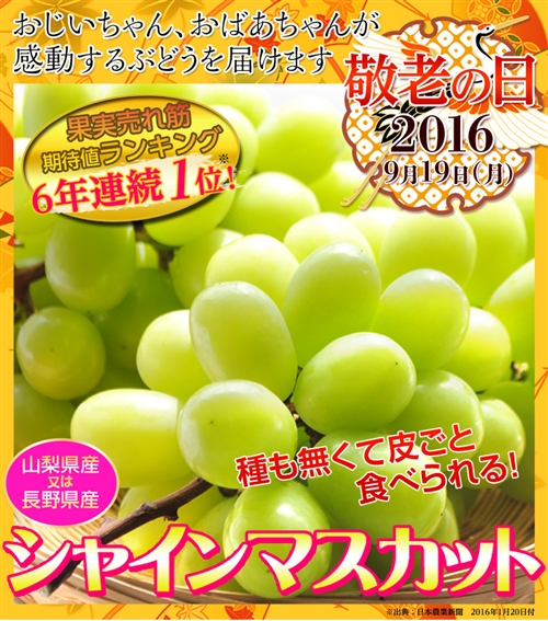 �h�V�̓��̃v���[���g�i�ʕ��ҁj