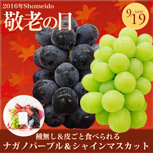 �h�V�̓��̃v���[���g�i�ʕ��ҁj